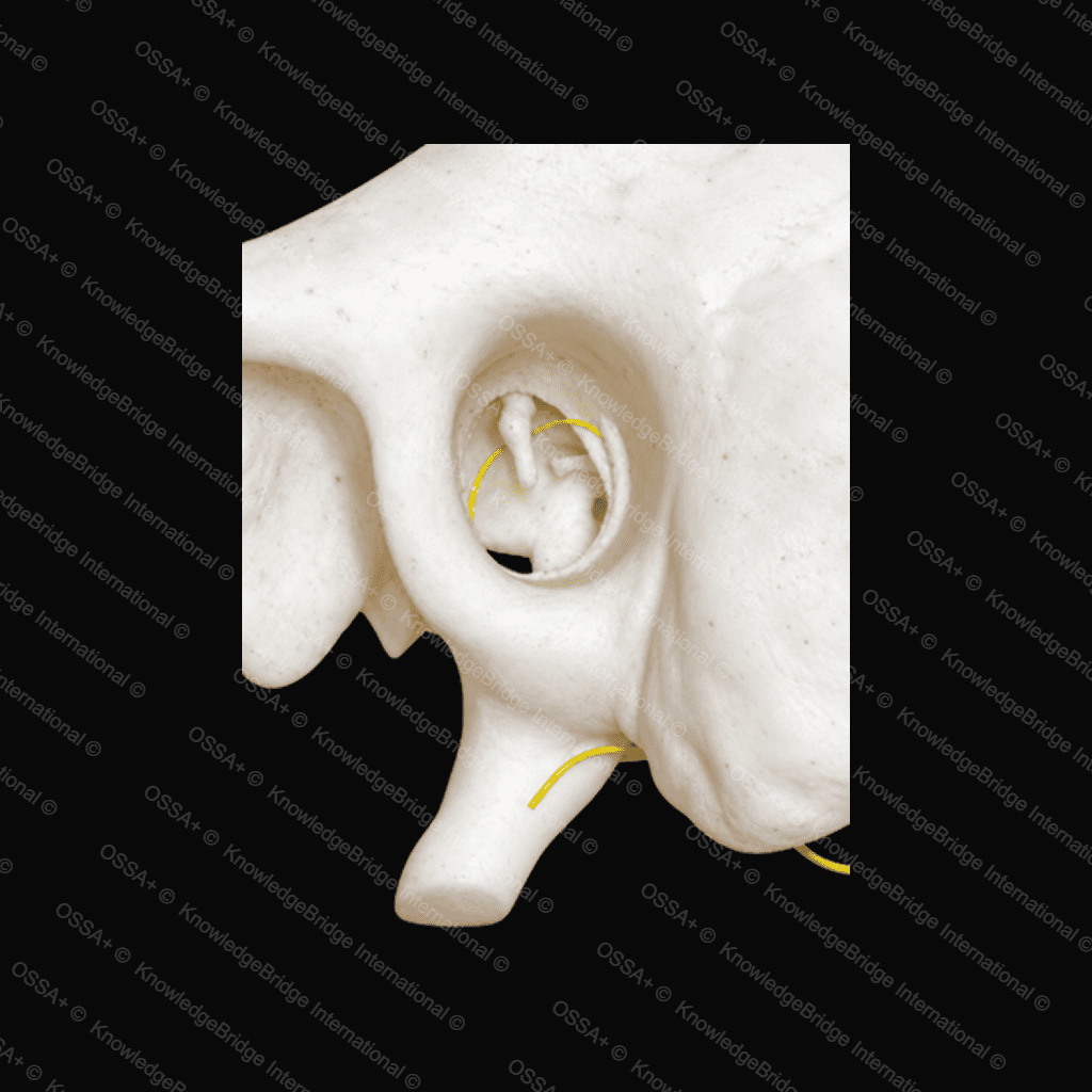 Task-Based Trainers view 3